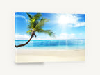 Leaning Palm Sunburst, leaning palm tropical beach photograph, coastal canvas wall art print ready to hang