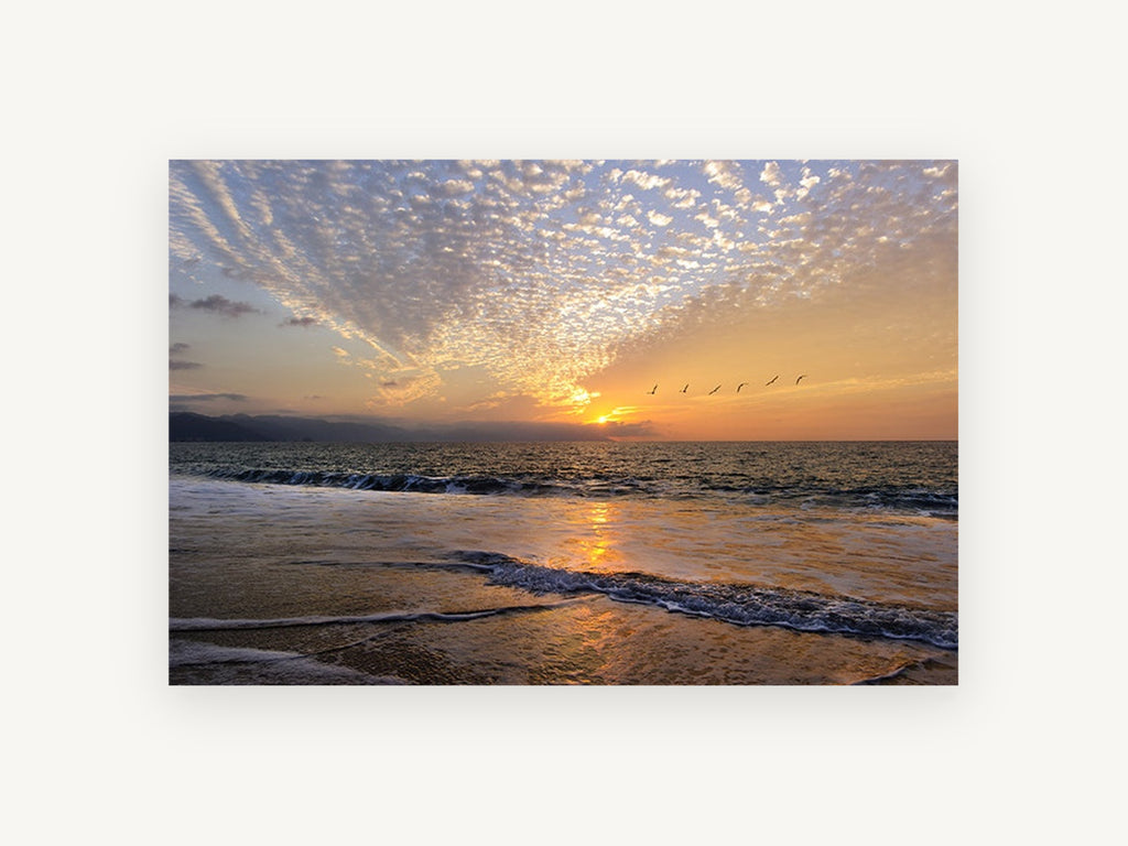 Pelicans at Sunset Shore, coastal canvas wall art print, front view