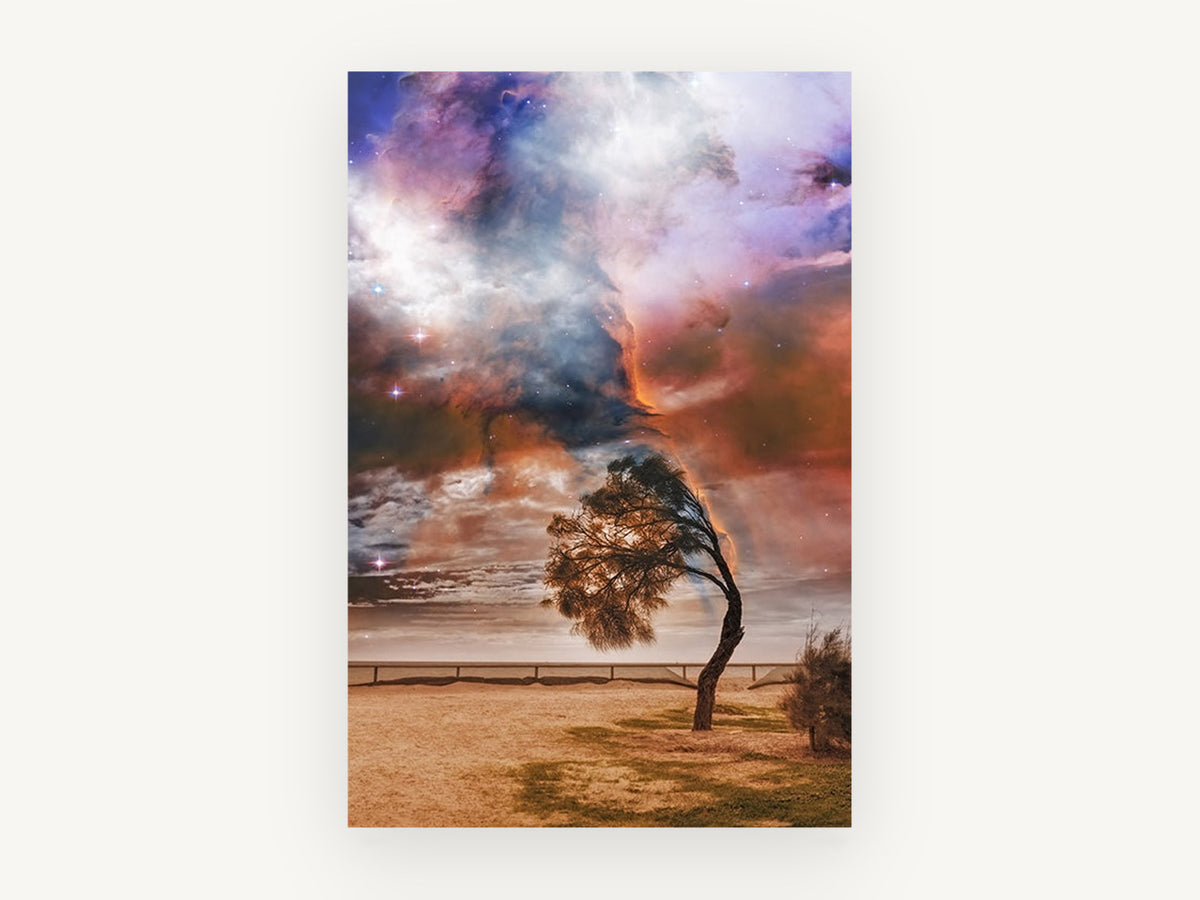 Windswept Tree Nebula, floral canvas wall art print, front view
