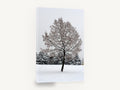Snow-Laden Winter Tree, snow covered tree winter photograph, floral canvas wall art print ready to hang