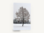 Snow-Laden Winter Tree, snow covered tree winter photograph, floral canvas wall art print ready to hang