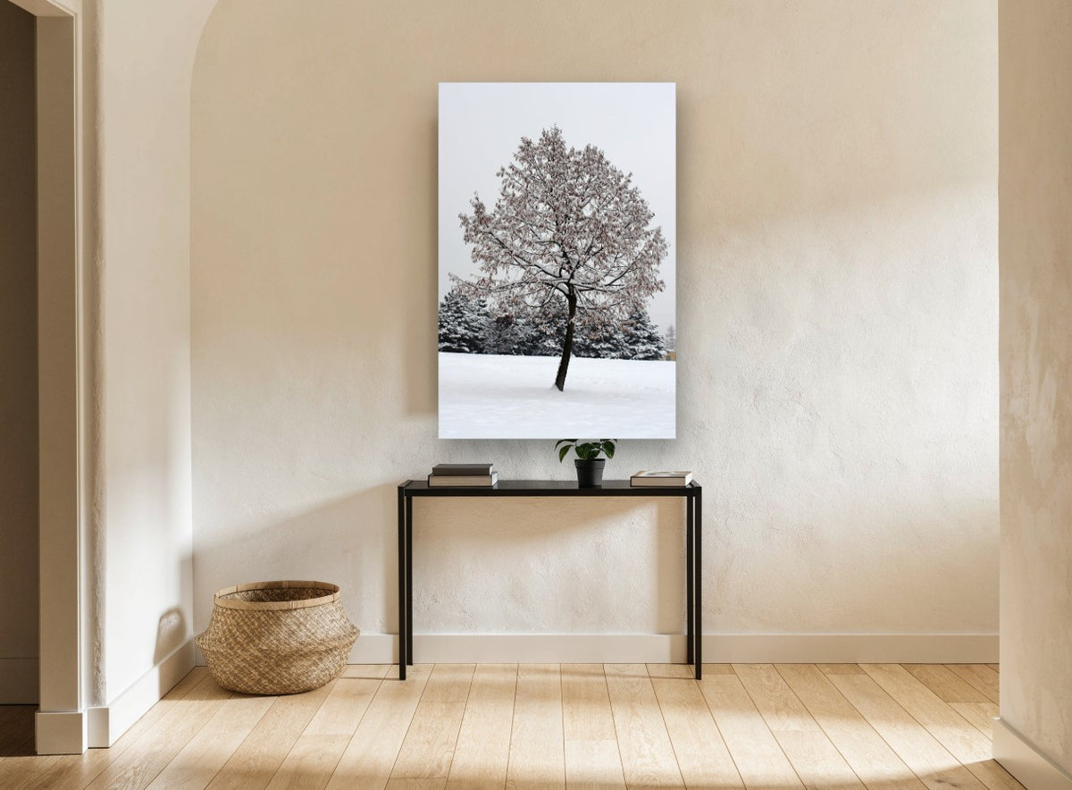 Snow-Laden Winter Tree floral canvas print on the wall of a hallway