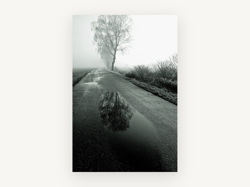 Puddle on the Fog Road, foggy country road reflection photograph, landscape canvas wall art print, front view