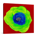 Floral Green Wall Art Print