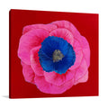 Floral Pink Wall Art Print