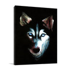 Husky Dog Wall Art Print