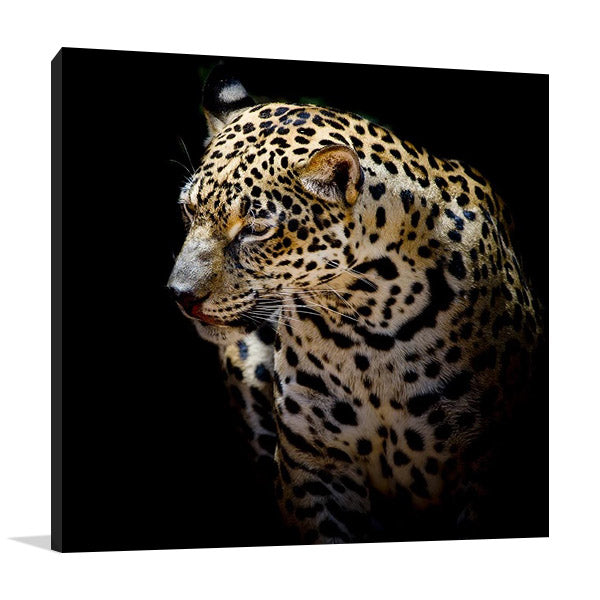 Wild Leopard Wall Art Print