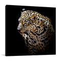 Wild Leopard Wall Art Print