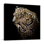 Wild Leopard Wall Art Print