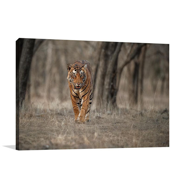 Wildlife Tiger Wall Art Print