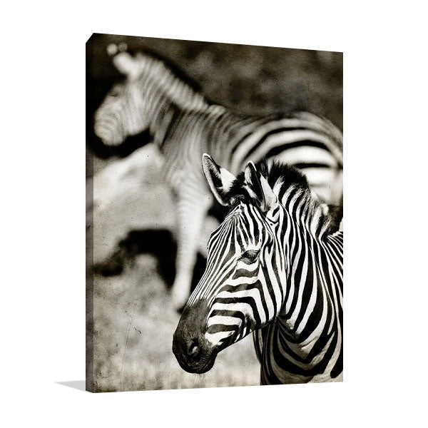 Zebras Wall Art Print