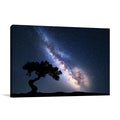 Milky Way at Night Wall Art Print