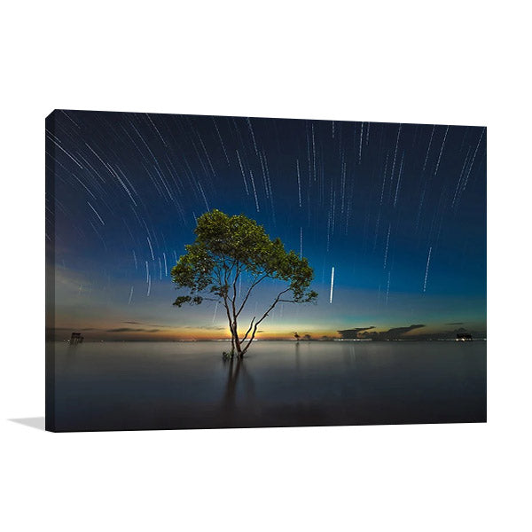 Shooting Stars Wall Art Print