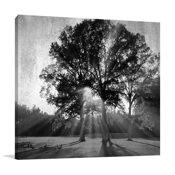 Black and White Trees Wall Art Print