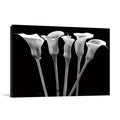 Lilies at Night Wall Art Print