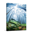 Forest Moss Grass Wall Art Print