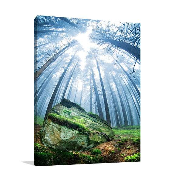 Forest Moss Grass Wall Art Print
