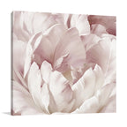 Intimate Blush III Wall Art Print