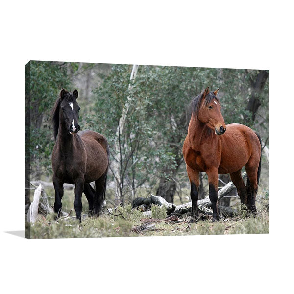 Alpine National Park Wall Art Print