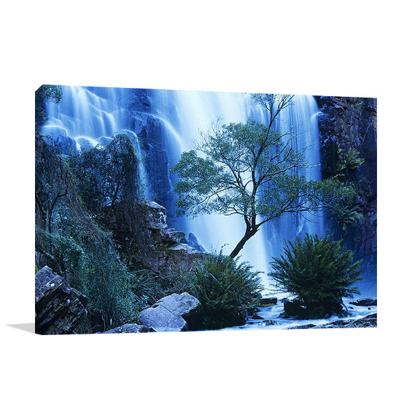 Australia Forest Waterfall Wall Art Print