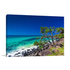Burleigh Head National Park Wall Art Print