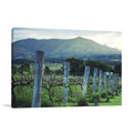 Kooroomba Queensland Vineyard Wall Art Print