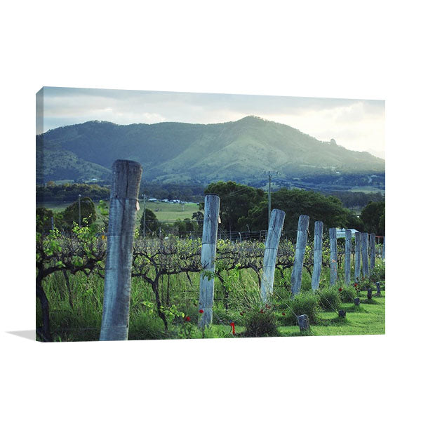 Kooroomba Queensland Vineyard Wall Art Print