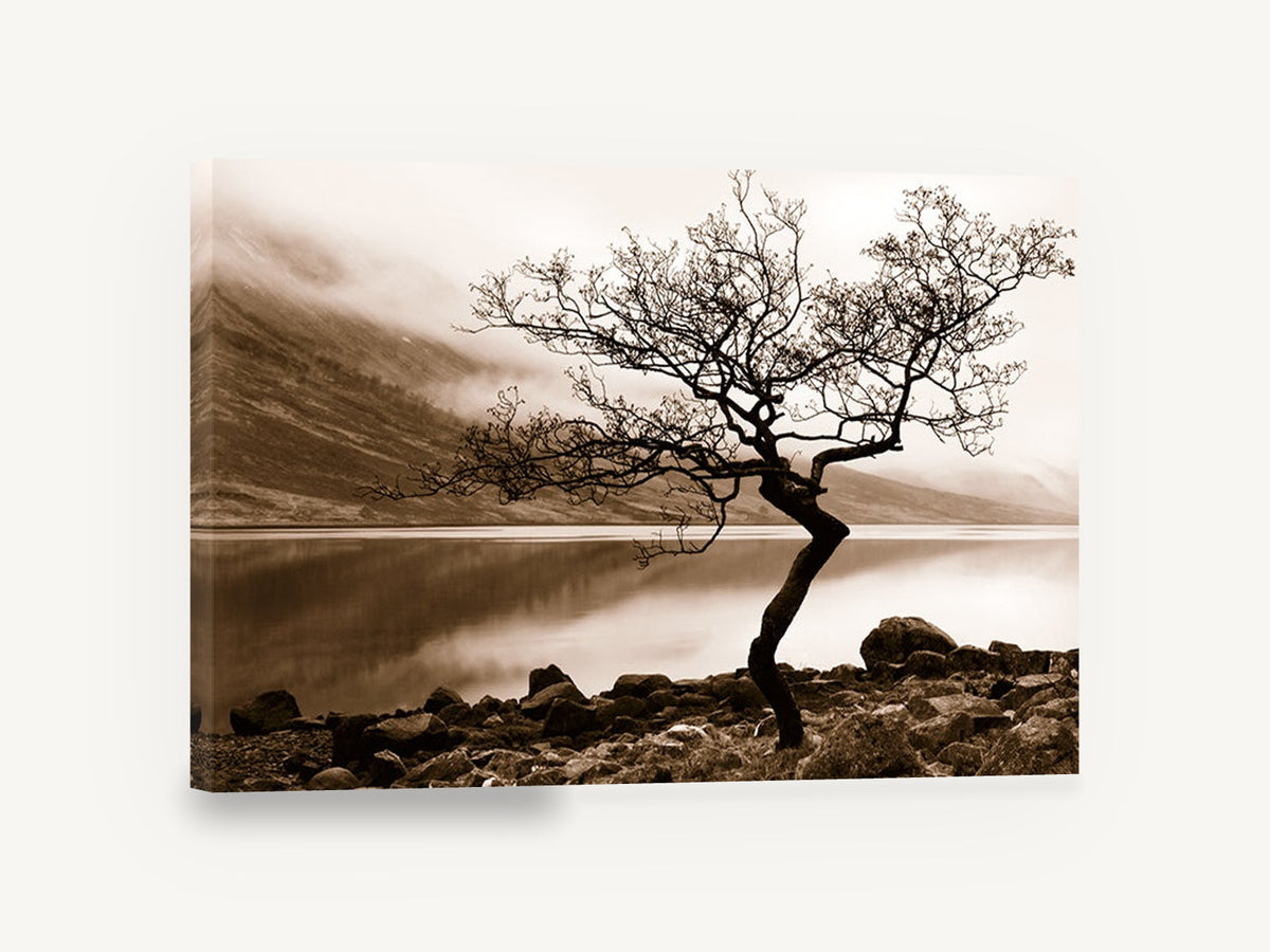 Lone Tree Sepia Shore, lone tree misty lake photograph, landscape canvas wall art print ready to hang