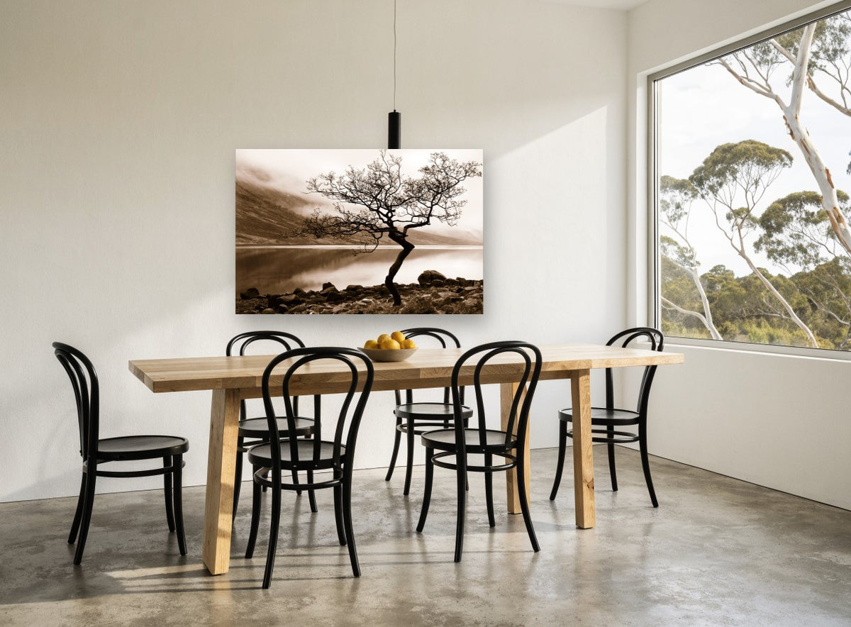 Lone Tree Sepia Shore landscape canvas print on the wall of a dining room