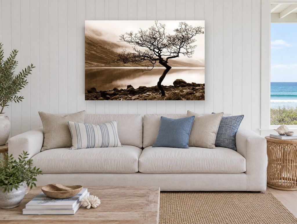 Lone Tree Sepia Shore landscape canvas print on the wall of a beach house living room
