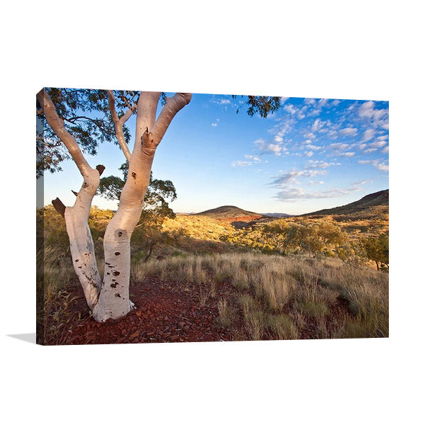 Pilbara Western Australia Wall Art Print