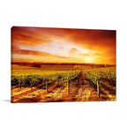 South Australia Sunset Wall Art Print