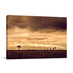 Sunset Queensland Australia Wall Art Print