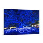 Sydney Light Festival Wall Art Print