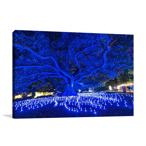 Sydney Light Festival Wall Art Print