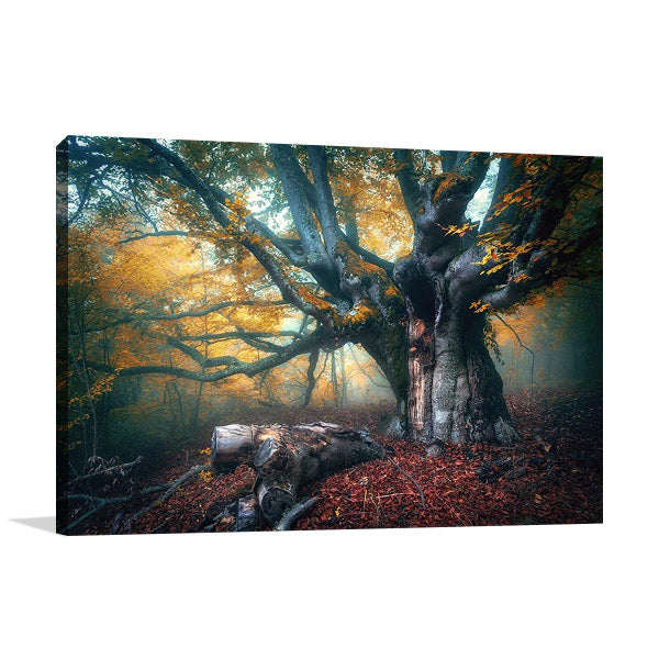 Old Fairy Tree Wall Art Print