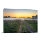 Morning Mist Wall Art Print