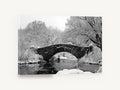 Snowbound Stone Arch, central park snow bridge black and white photograph, city canvas wall art print ready to hang