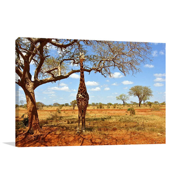 African Giraffe Wall Art Print