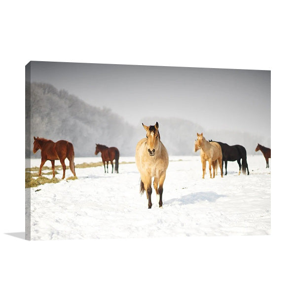 Leader of the Pack Wall Art Print