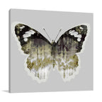 Painted Butterfly I Wall Art Print
