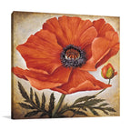 Poppy I Wall Art Print