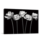 Tulips at Night Wall Art Print