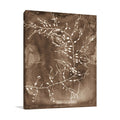 Natural Forms Sepia II Wall Art Print