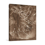 Natural Forms Sepia II Wall Art Print
