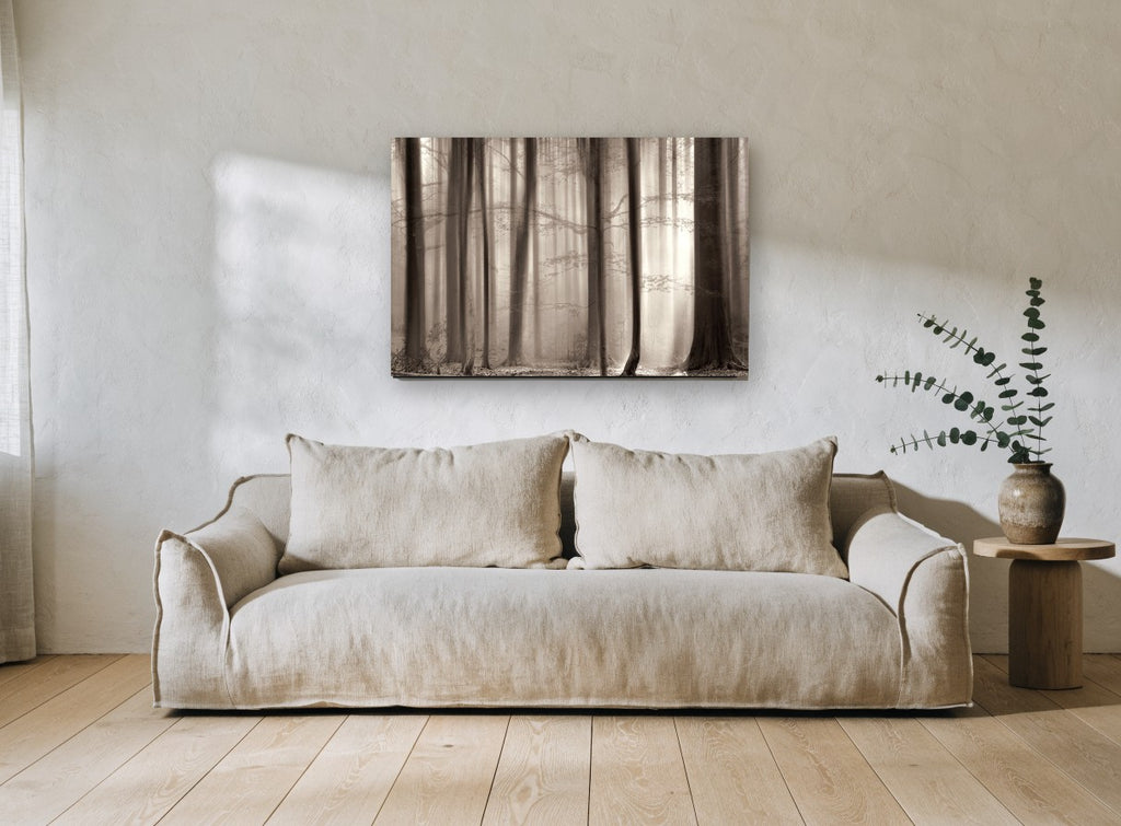 Sepia Beech Light landscape canvas print on the wall of a living room