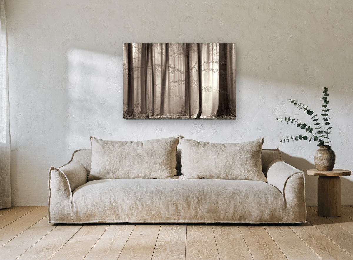 Sepia Beech Light landscape canvas print on the wall of a living room