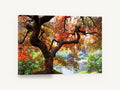 Maple Over Still Pond, autumn japanese maple pond photograph, landscape canvas wall art print ready to hang