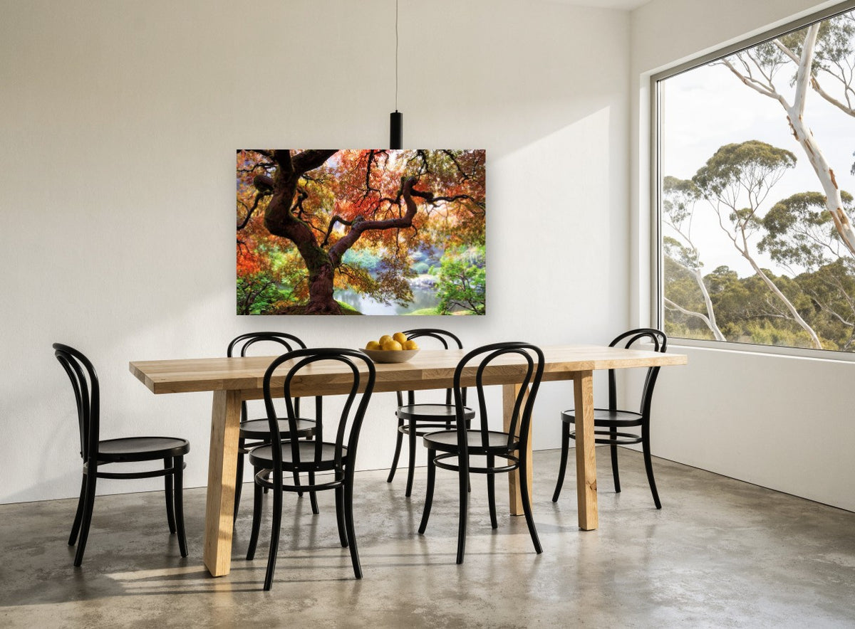 Maple Over Still Pond landscape canvas print on the wall of a dining room