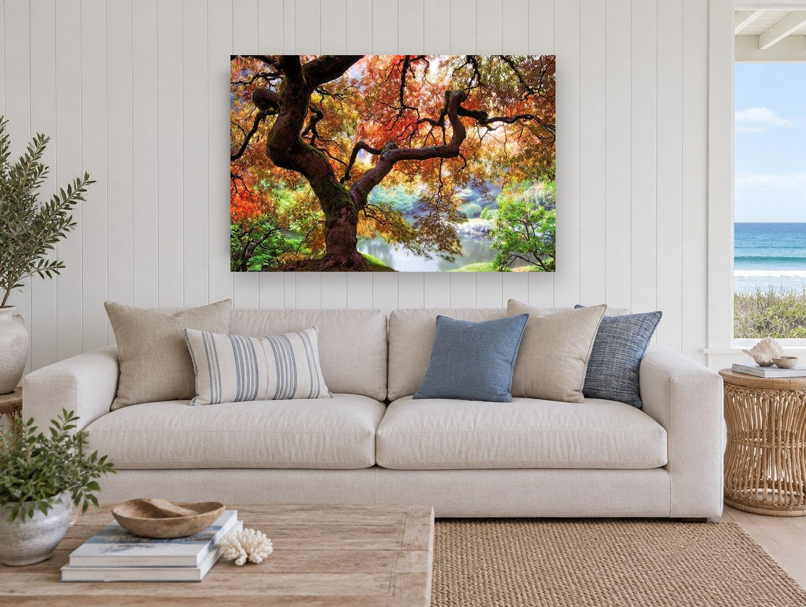Maple Over Still Pond landscape canvas print on the wall of a beach house living room